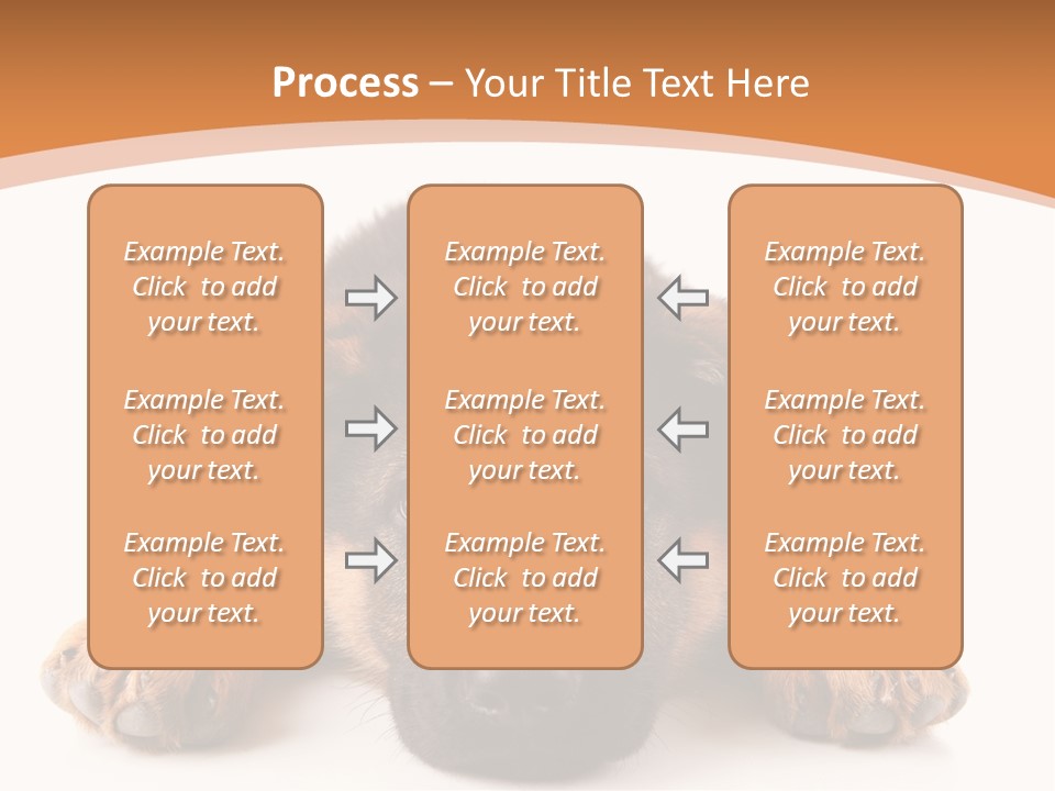 Purebred Domestic Mammal PowerPoint Template