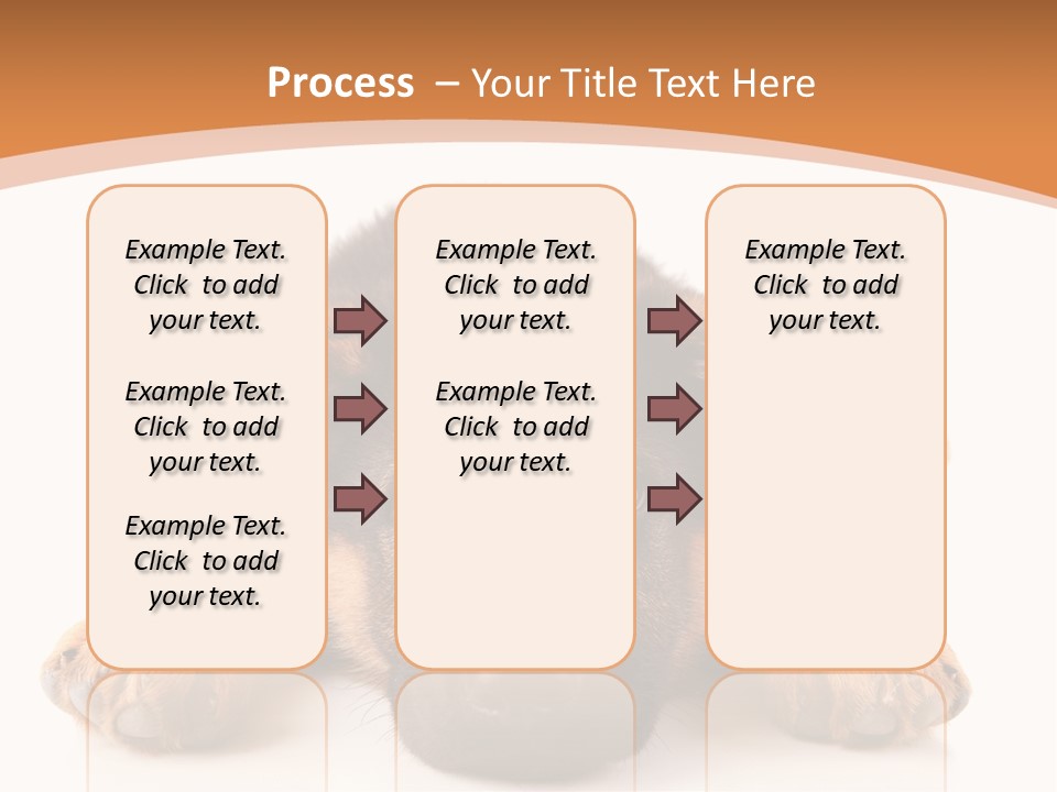 Purebred Domestic Mammal PowerPoint Template
