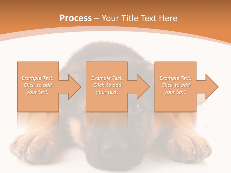 Purebred Domestic Mammal PowerPoint Template