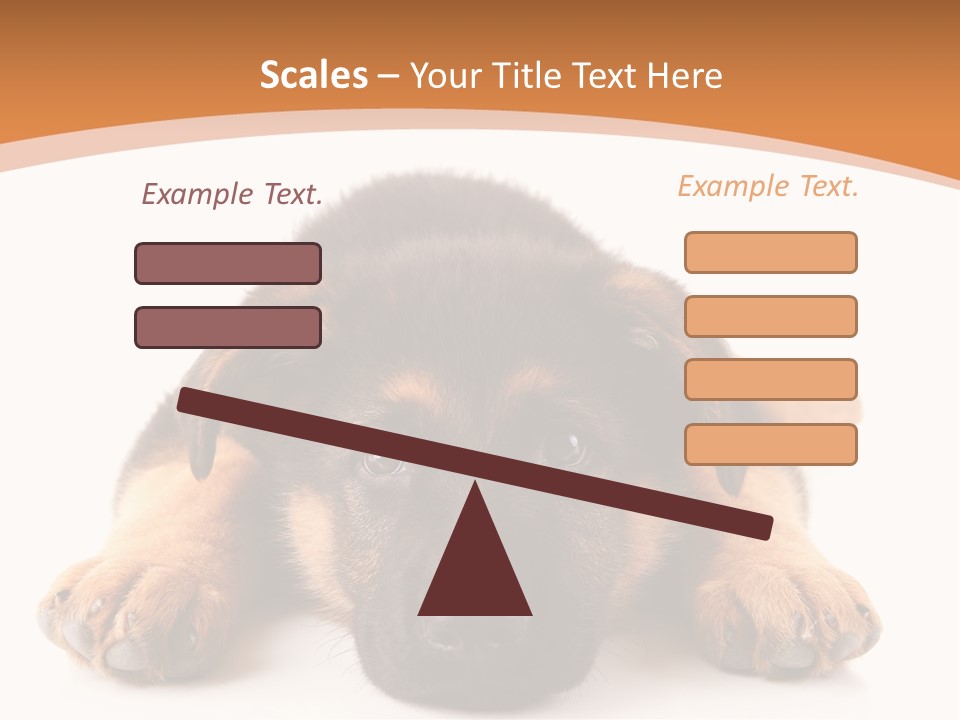 Purebred Domestic Mammal PowerPoint Template