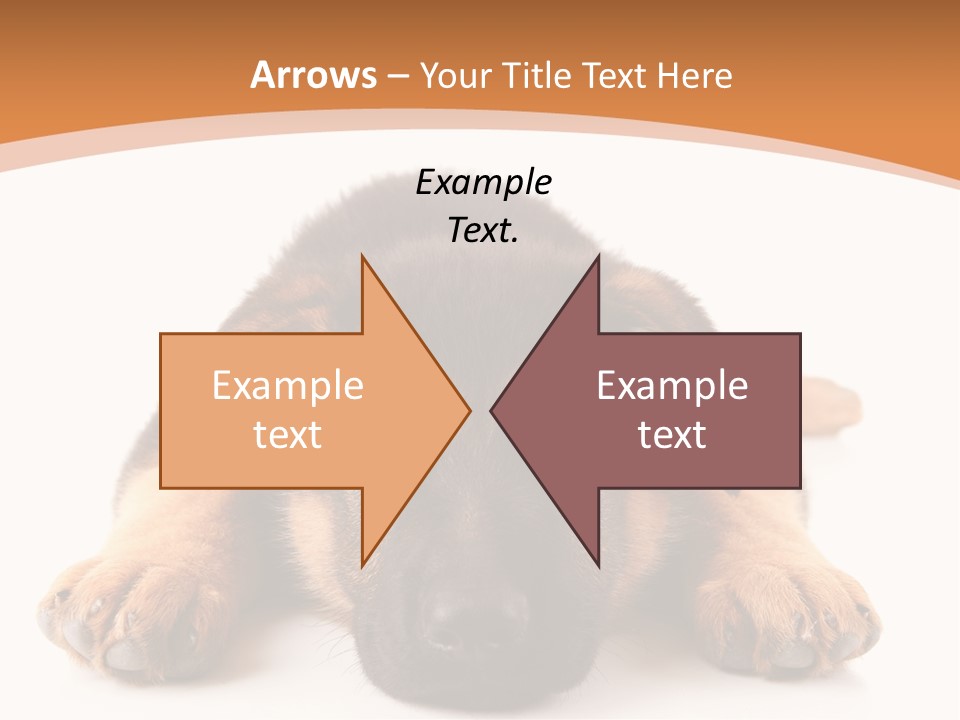 Purebred Domestic Mammal PowerPoint Template