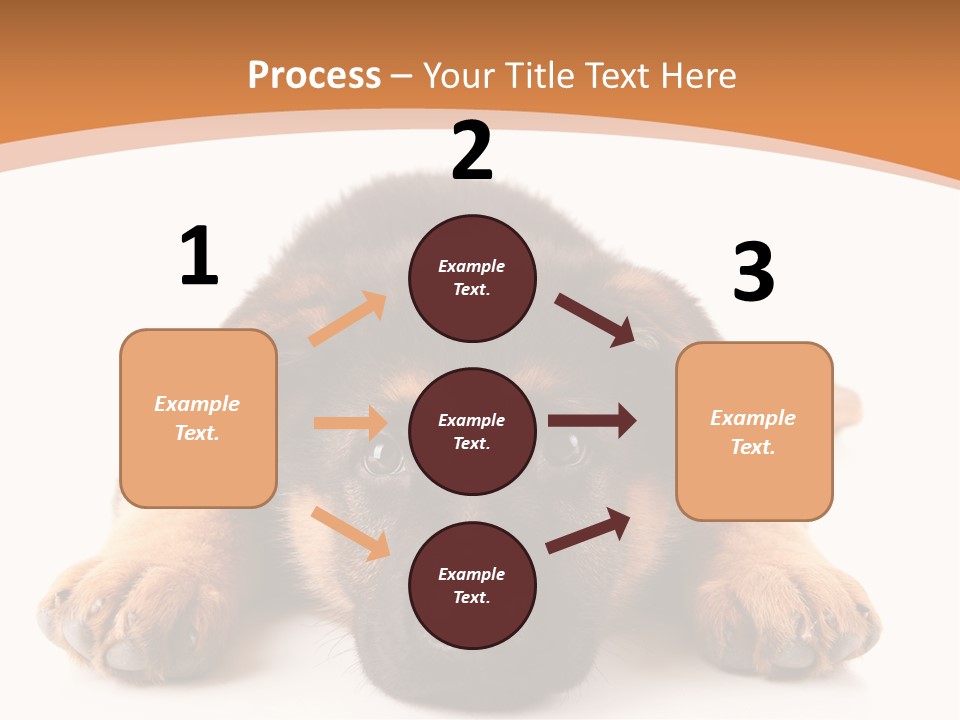 Purebred Domestic Mammal PowerPoint Template
