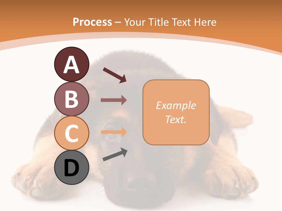 Purebred Domestic Mammal PowerPoint Template