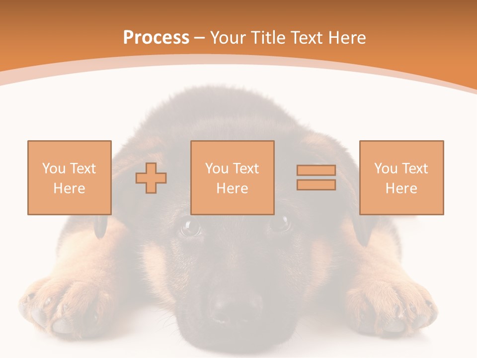 Purebred Domestic Mammal PowerPoint Template