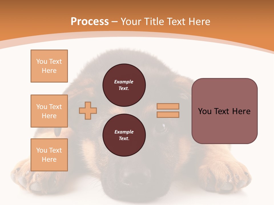 Purebred Domestic Mammal PowerPoint Template