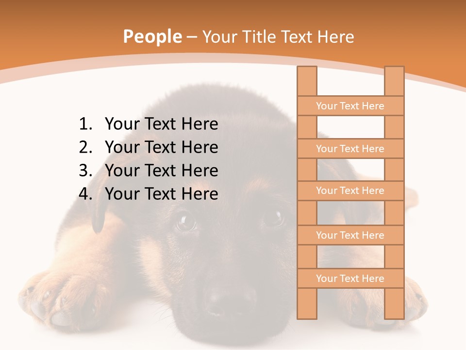 Purebred Domestic Mammal PowerPoint Template