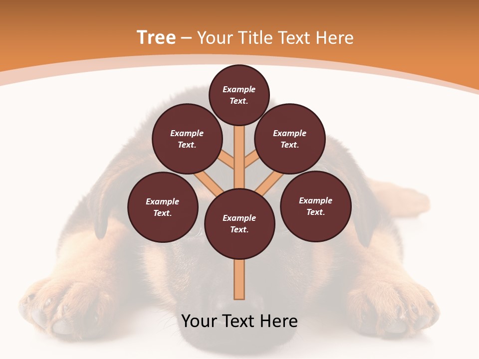Purebred Domestic Mammal PowerPoint Template