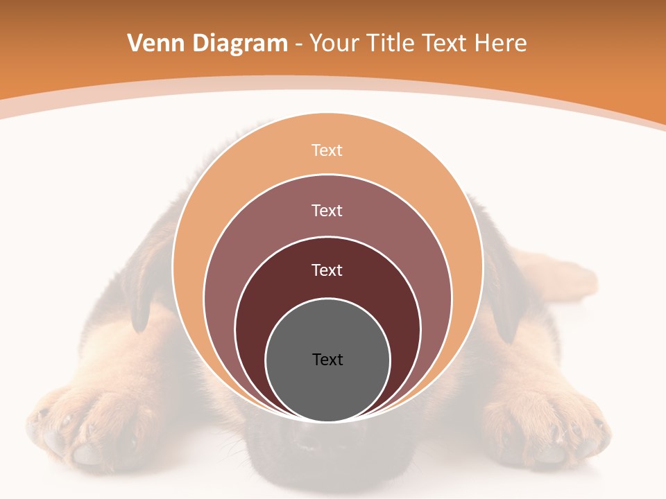 Purebred Domestic Mammal PowerPoint Template