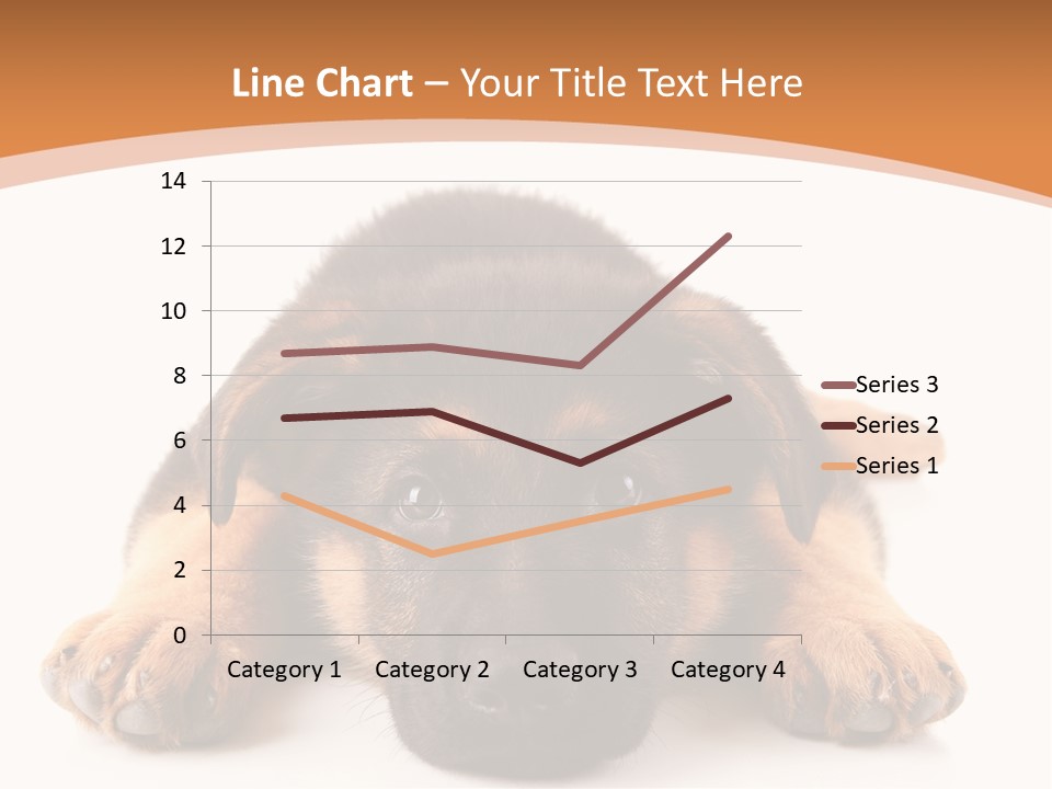 Purebred Domestic Mammal PowerPoint Template