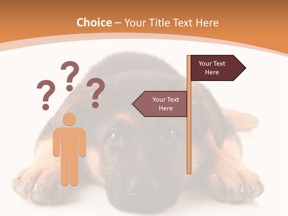 Purebred Domestic Mammal PowerPoint Template