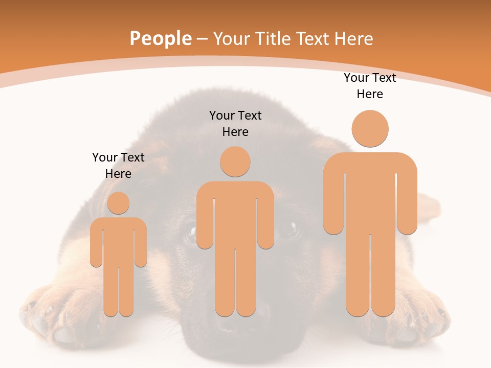 Purebred Domestic Mammal PowerPoint Template