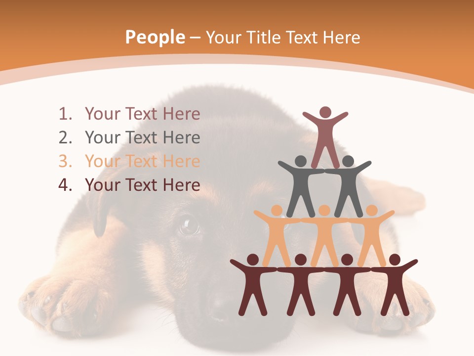 Purebred Domestic Mammal PowerPoint Template