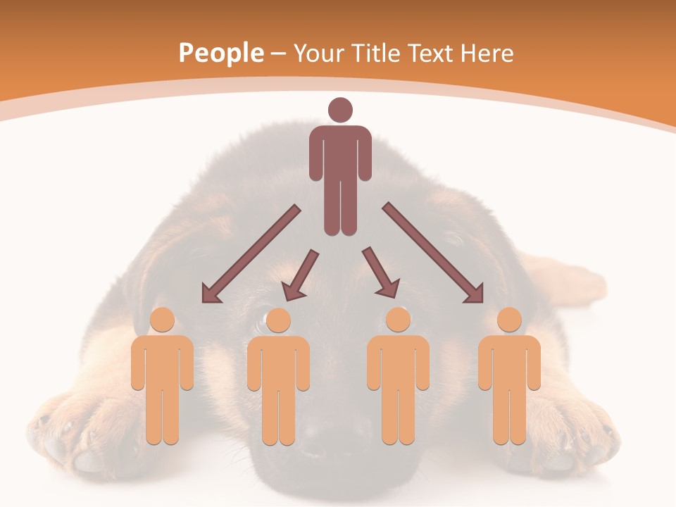 Purebred Domestic Mammal PowerPoint Template