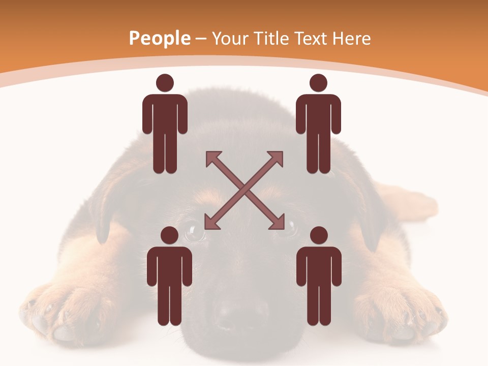 Purebred Domestic Mammal PowerPoint Template