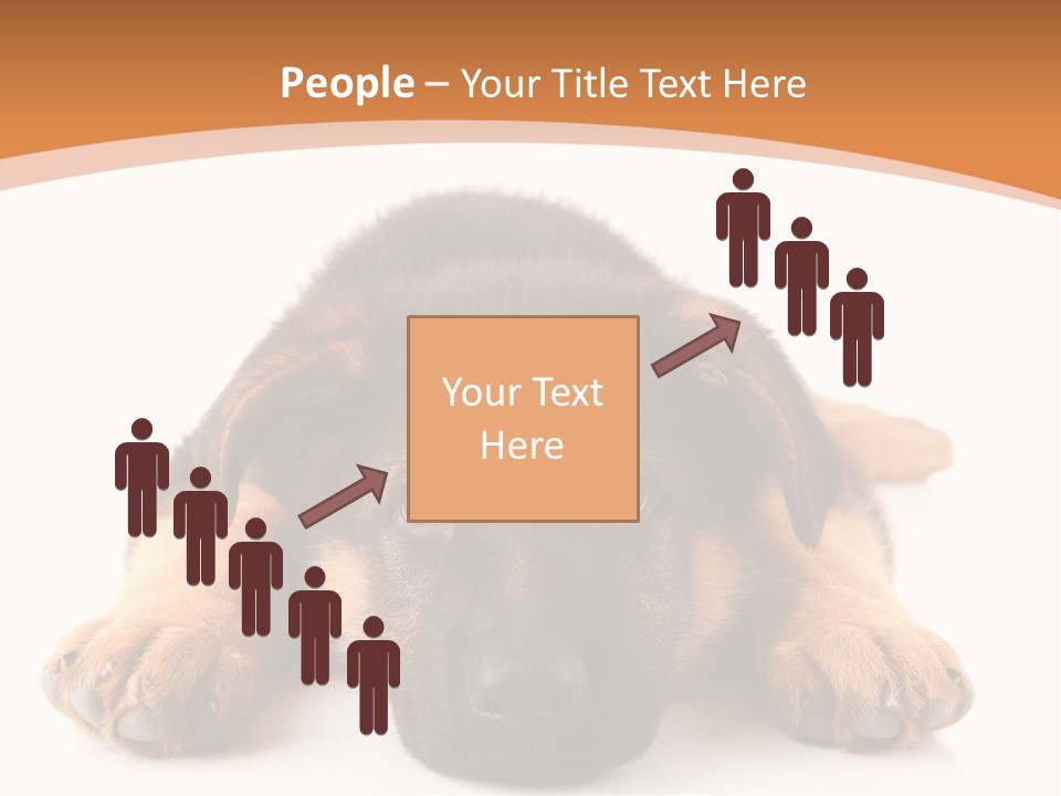 Purebred Domestic Mammal PowerPoint Template