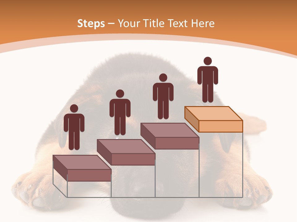 Purebred Domestic Mammal PowerPoint Template