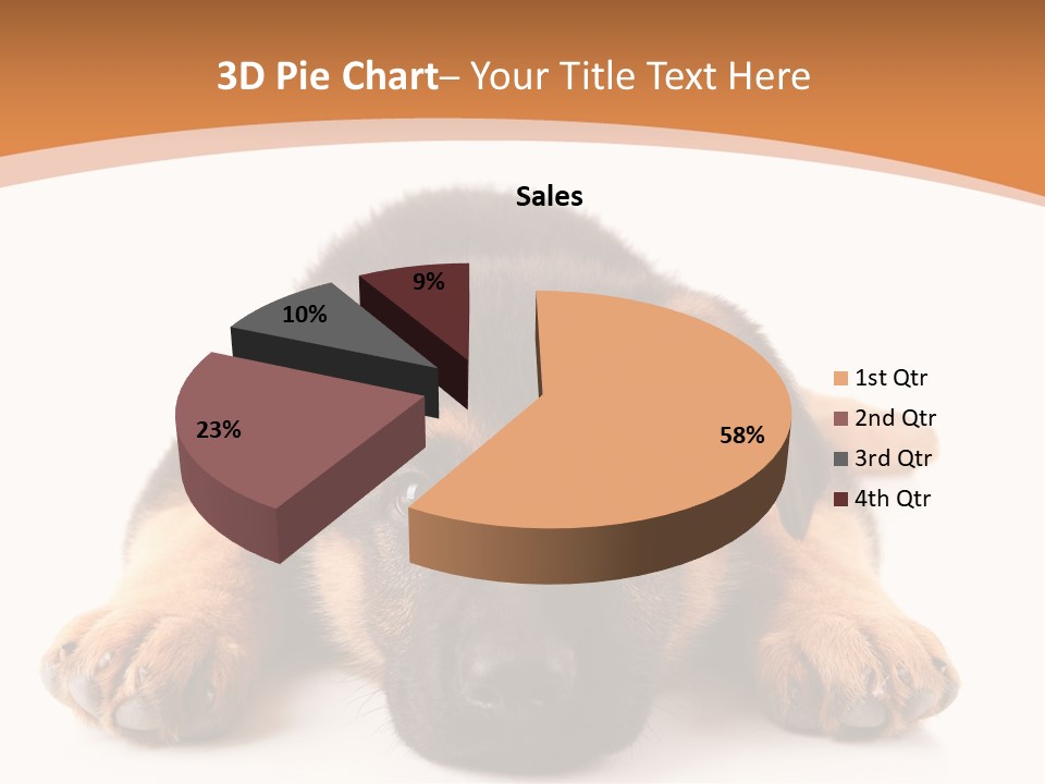 Purebred Domestic Mammal PowerPoint Template