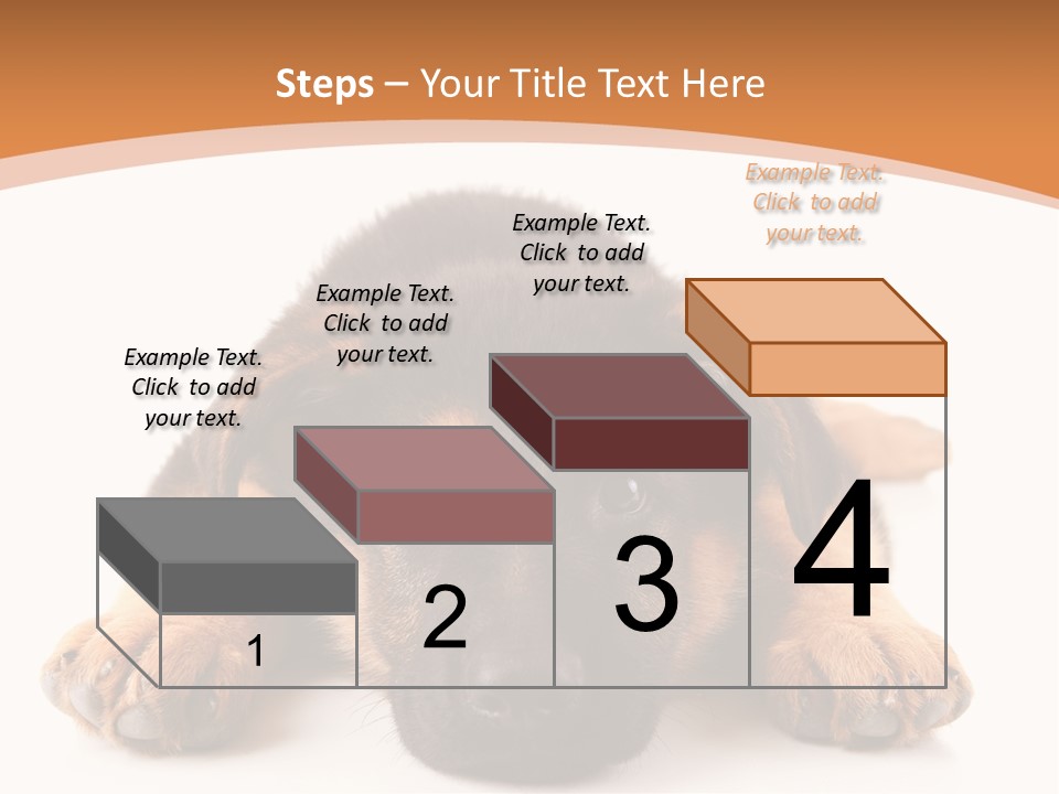 Purebred Domestic Mammal PowerPoint Template