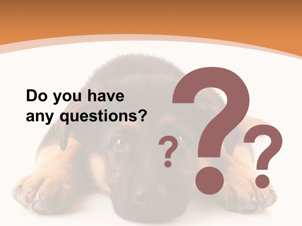 Purebred Domestic Mammal PowerPoint Template