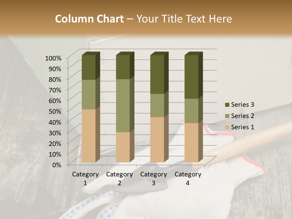 Useful Summer Implement PowerPoint Template