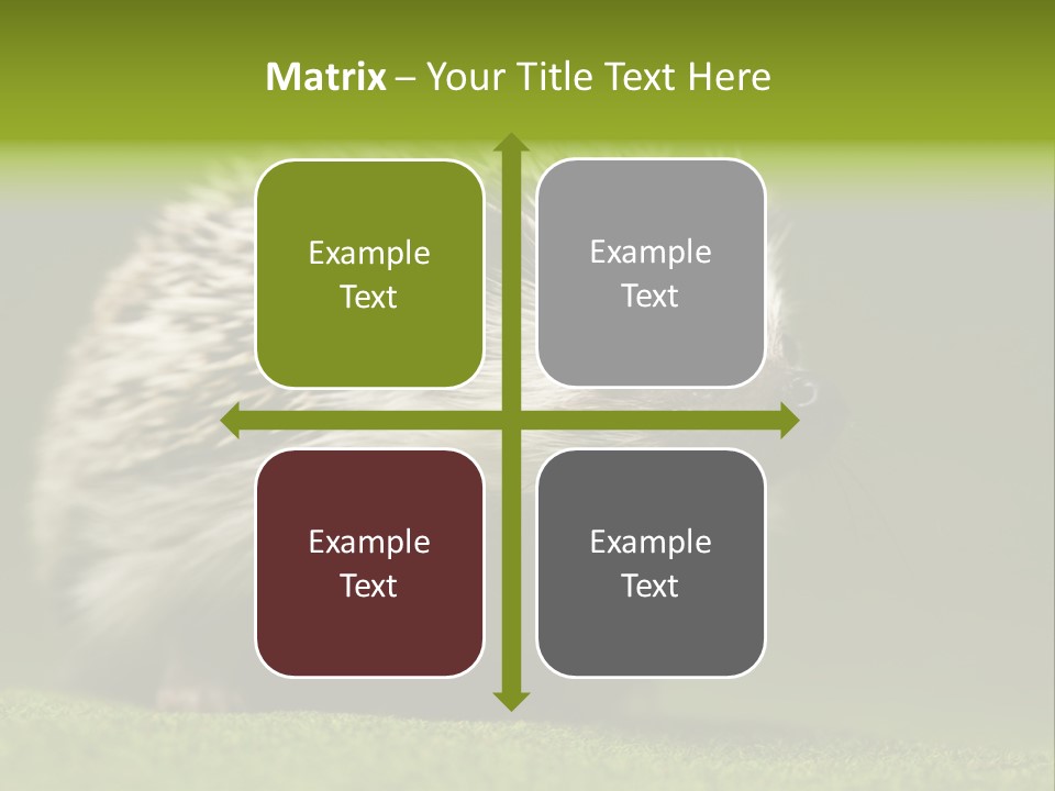 Spine Defense Young PowerPoint Template