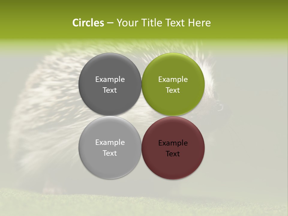 Spine Defense Young PowerPoint Template