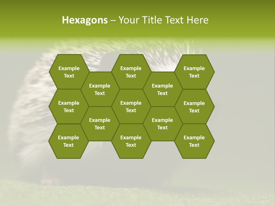 Spine Defense Young PowerPoint Template