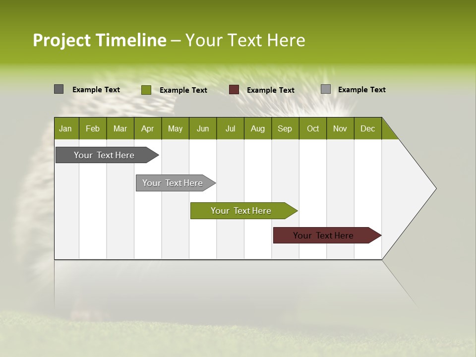 Spine Defense Young PowerPoint Template