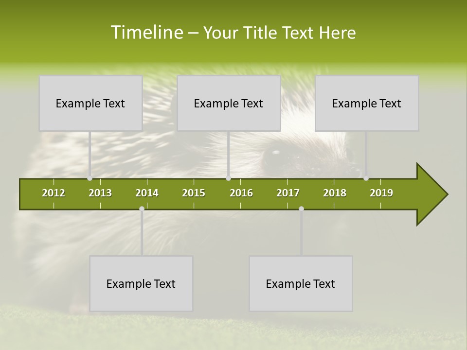 Spine Defense Young PowerPoint Template