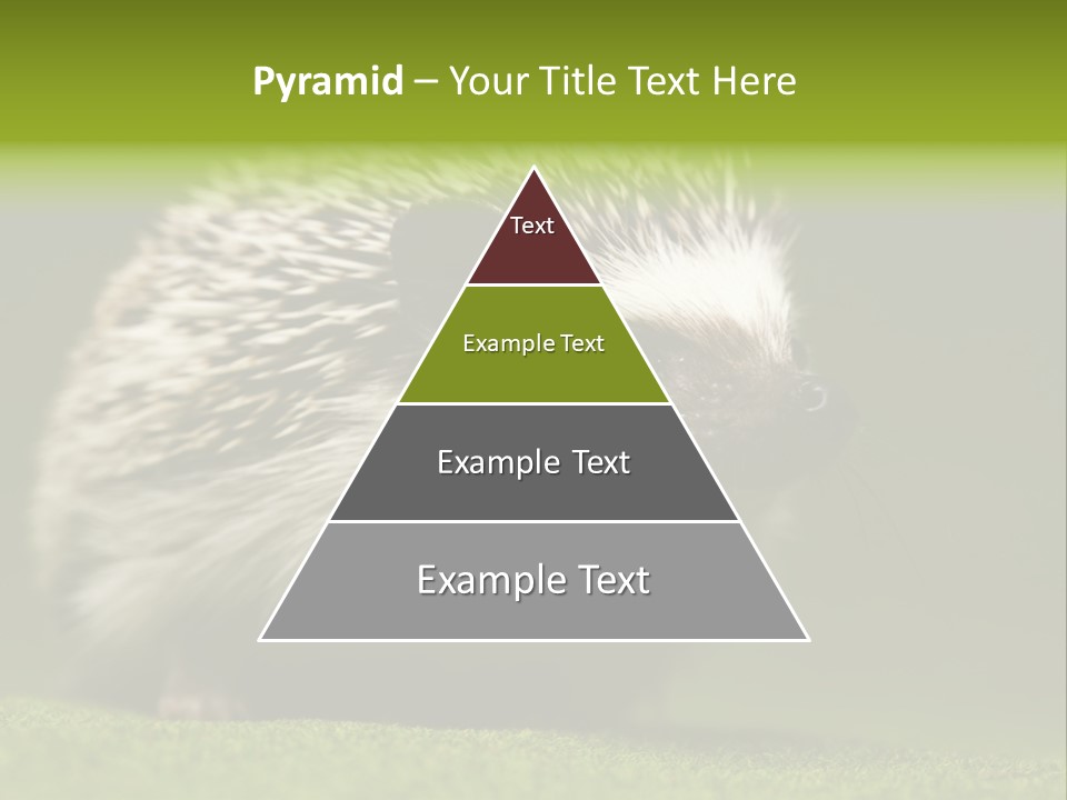 Spine Defense Young PowerPoint Template