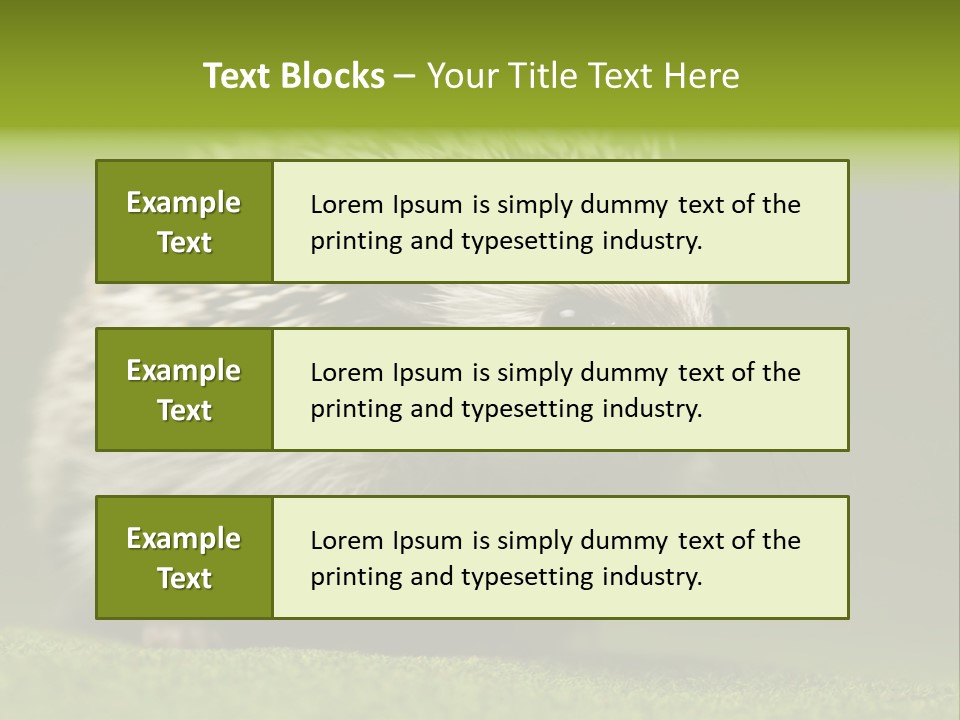 Spine Defense Young PowerPoint Template