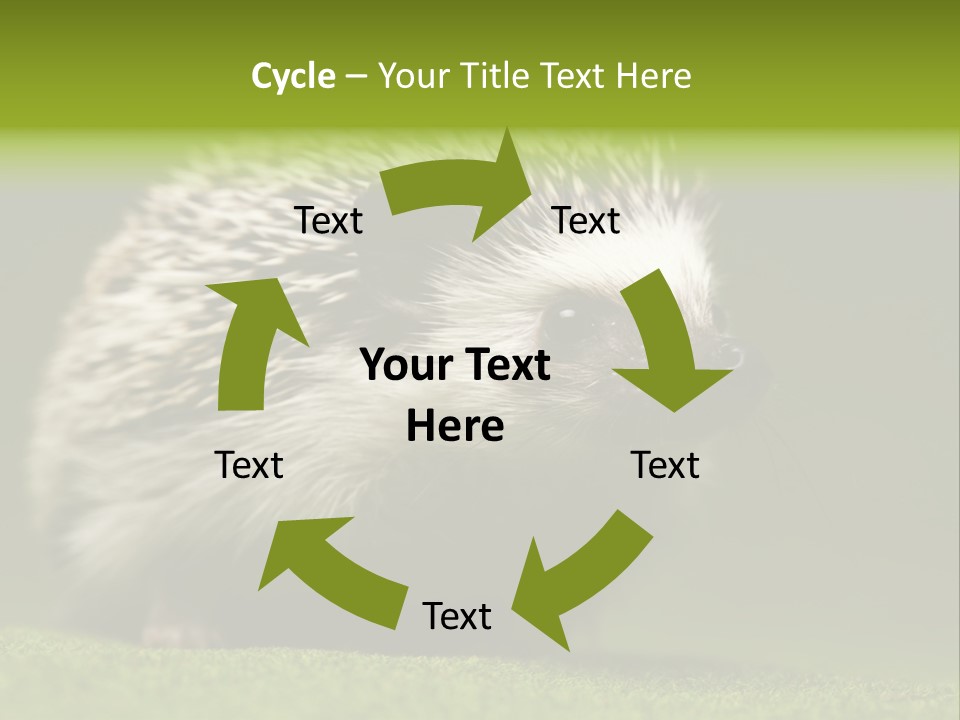 Spine Defense Young PowerPoint Template