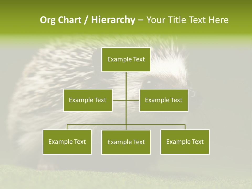 Spine Defense Young PowerPoint Template