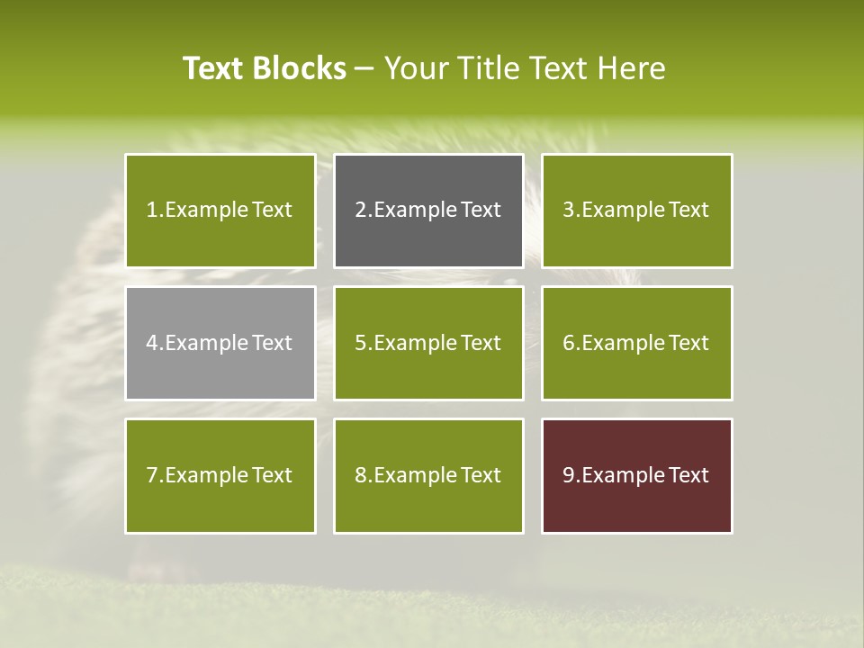 Spine Defense Young PowerPoint Template