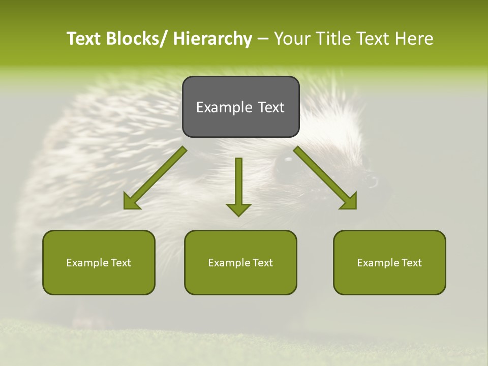 Spine Defense Young PowerPoint Template