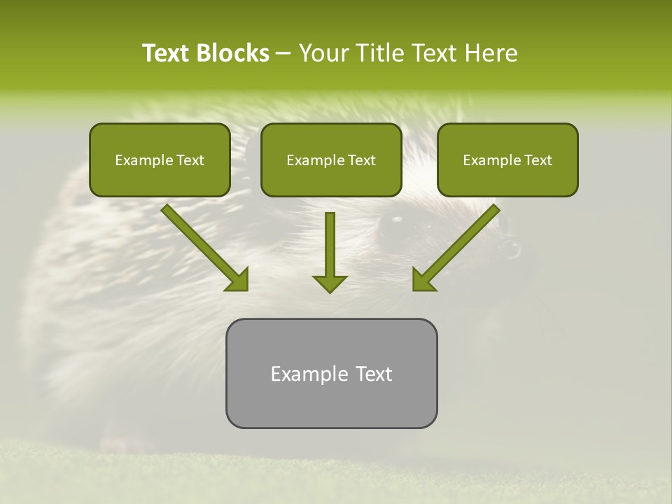 Spine Defense Young PowerPoint Template