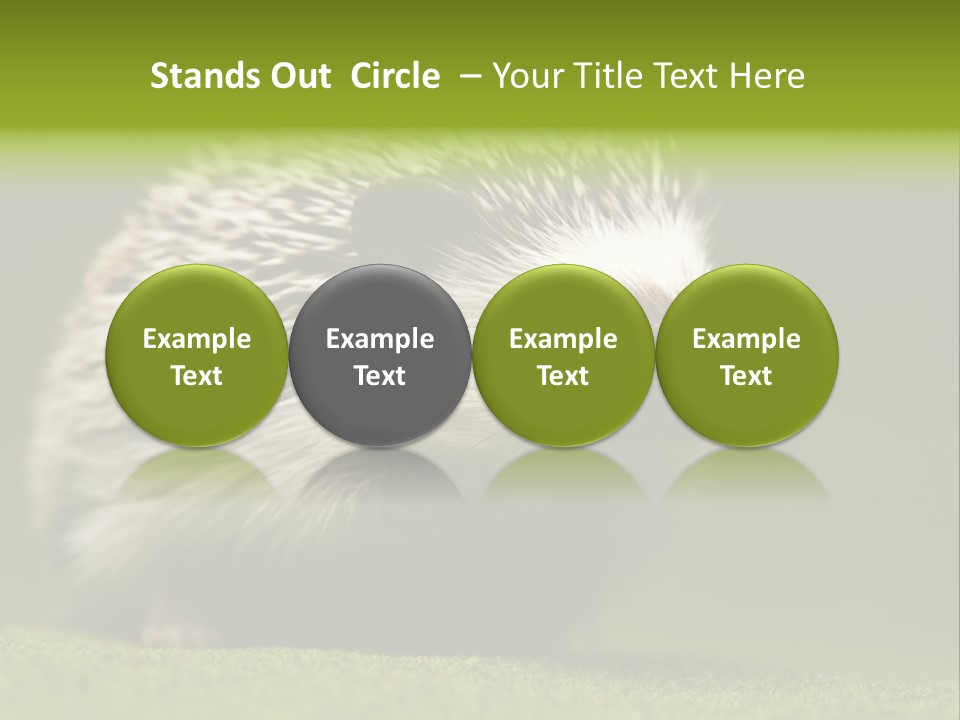 Spine Defense Young PowerPoint Template