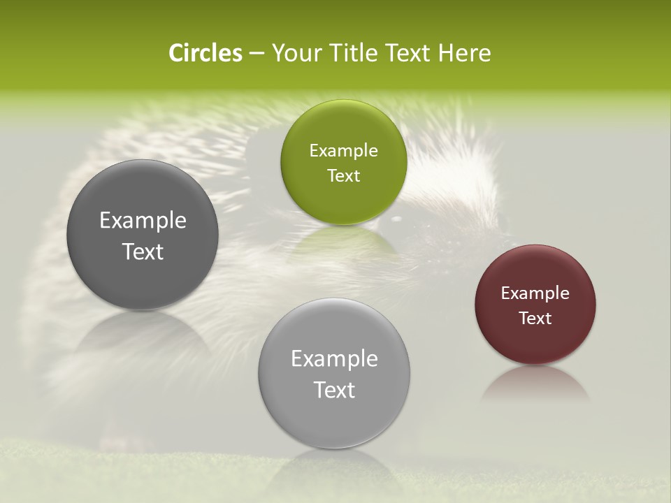 Spine Defense Young PowerPoint Template