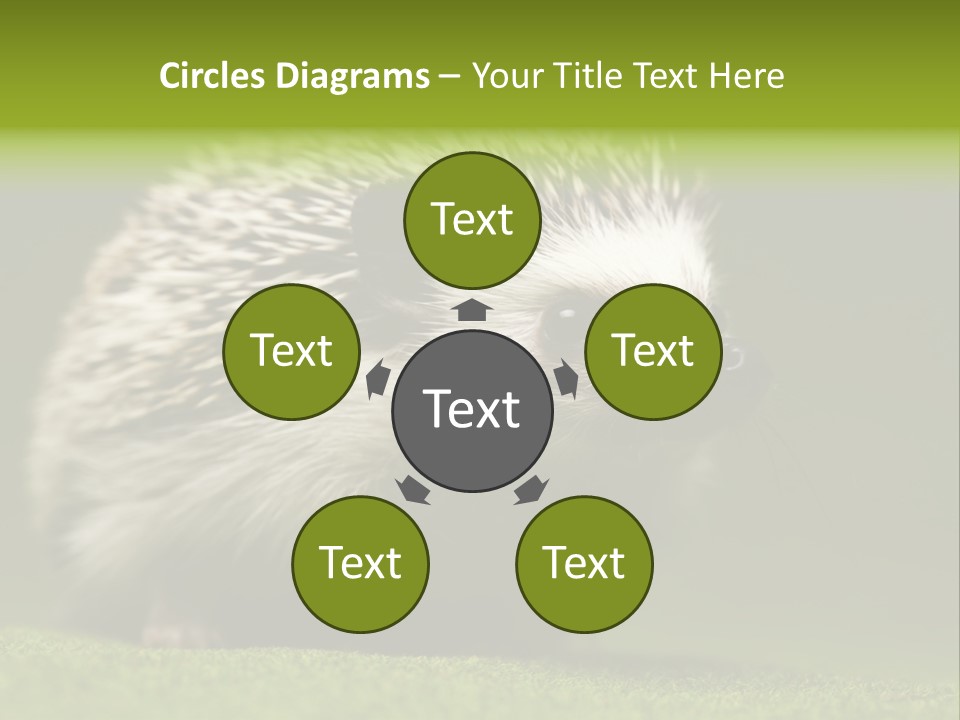 Spine Defense Young PowerPoint Template