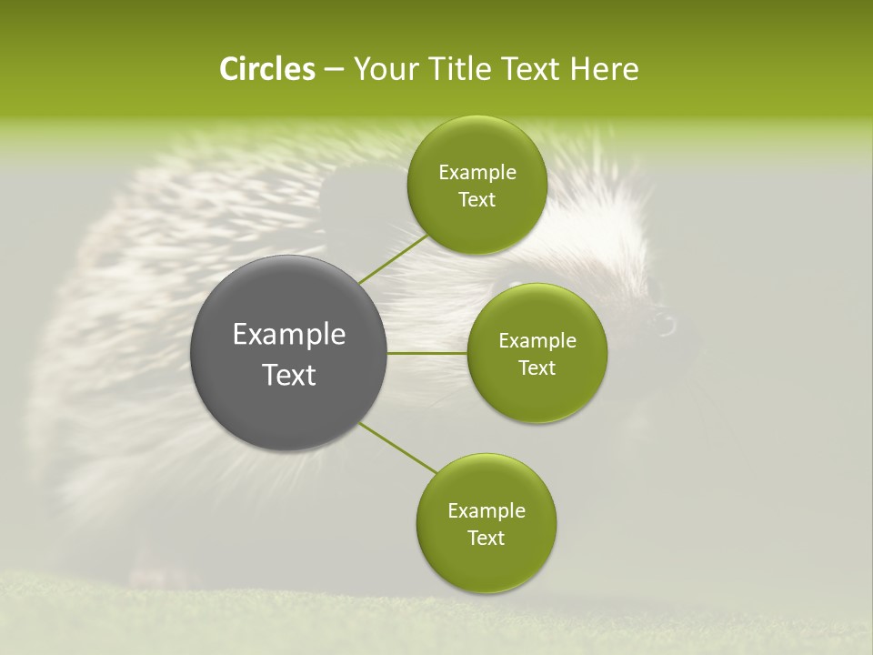 Spine Defense Young PowerPoint Template