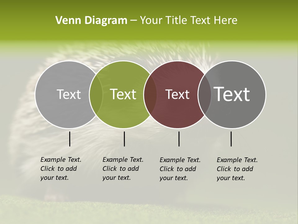 Spine Defense Young PowerPoint Template