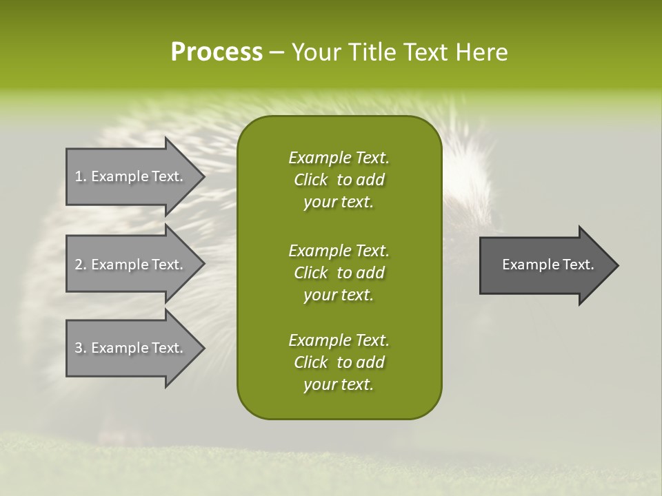 Spine Defense Young PowerPoint Template
