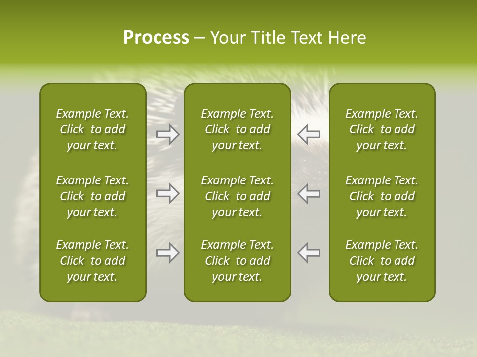 Spine Defense Young PowerPoint Template