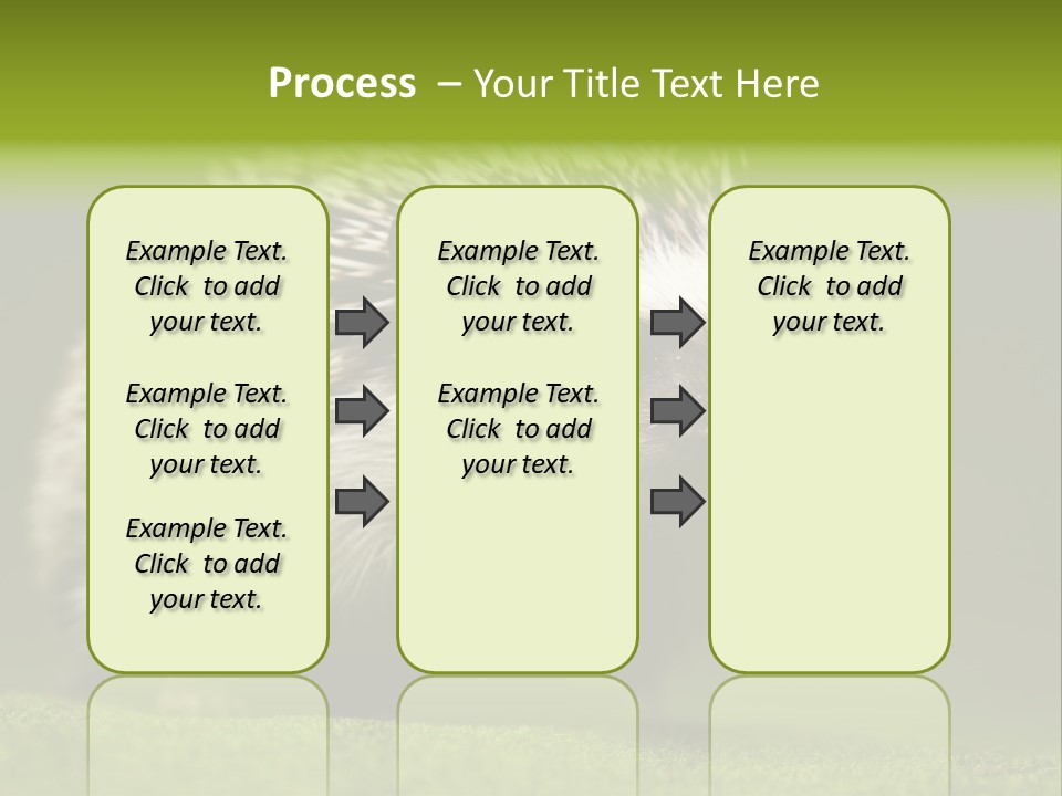 Spine Defense Young PowerPoint Template