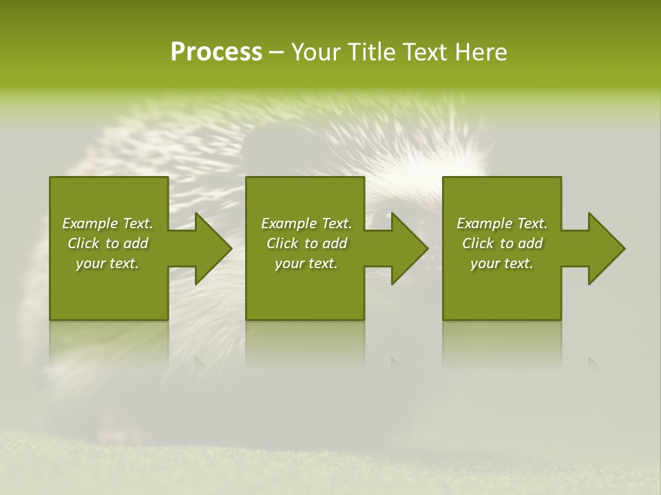 Spine Defense Young PowerPoint Template