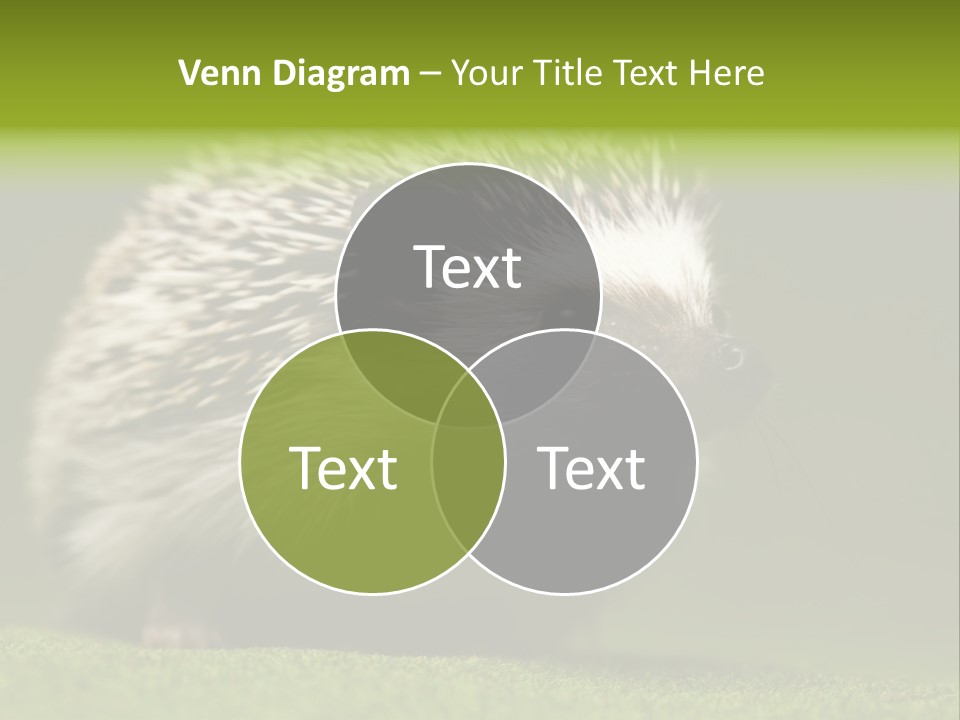 Spine Defense Young PowerPoint Template