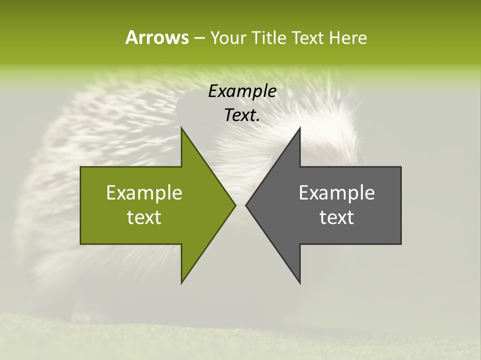 Spine Defense Young PowerPoint Template