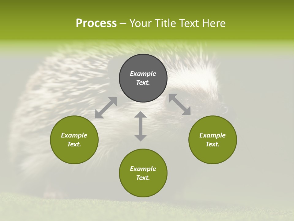 Spine Defense Young PowerPoint Template