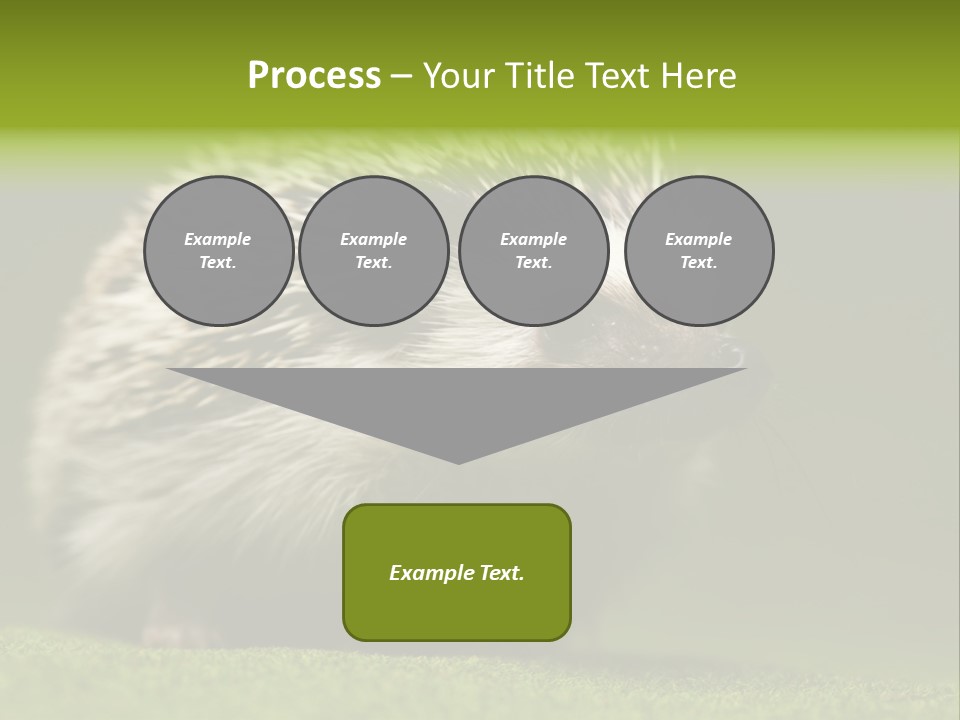 Spine Defense Young PowerPoint Template