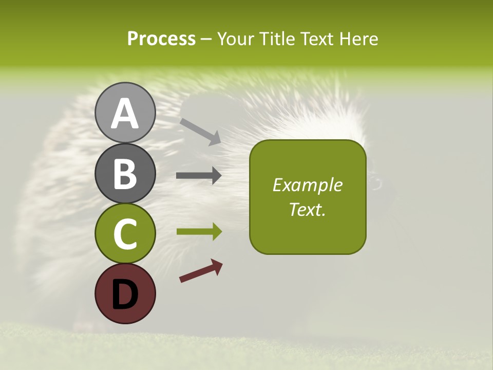 Spine Defense Young PowerPoint Template